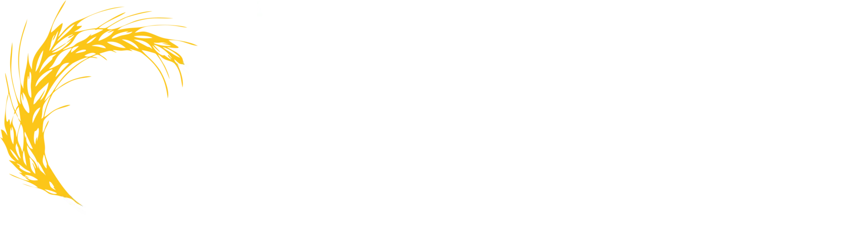 Логотип клієнта 11